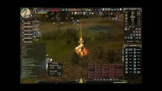 Shaiya 1-15 pvp Gaia server