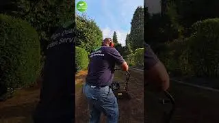 Complete Lawn Care Transformation