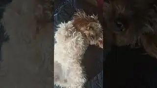 best position