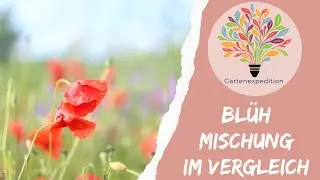 Billig oder biodivers? 15-&euro;-Kilo-Mix vs. heimische Wildblumenmischung  - Gartenexpedition