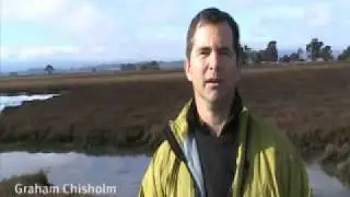 A better home for birds in San Pablo Bay