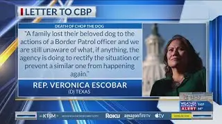 Escobar wants answers about dog allegedly shot by Border Patrol