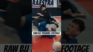 RAW BJJ training footage #bjj #jiujitsu #bjjgi #grappling
