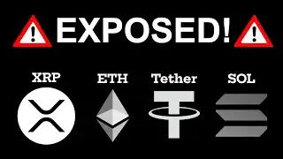 Bitcoin is not Crypto: Exposing Red Flags in Altcoins