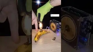 🍌 Electricity vs Banana, What is next❓️ #fruit #power #experiment #teslacoil