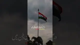 15 August status Urdu indipendence day status #trending #shorts #viral #india #15august #short