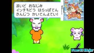 Hamtaro | Music | Ham Swap Music All Versions