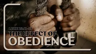 The Effect of Obedience