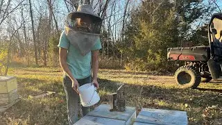 Осеннее безумие пчеловодства! 🐝