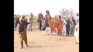 camel festival