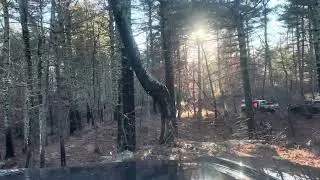 2025 Toyota 4Runner playing in the woods  #4wd #offroad #4runnerlifestyle #overlanding 