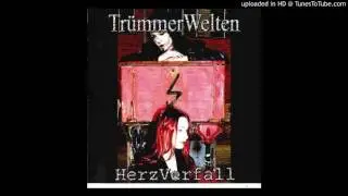 Tr&uuml;mmerWelten - Lautes Schweigen (Schizophren) (2004)