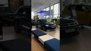 P.O.V You need to choose what colour you want for your T-Roc