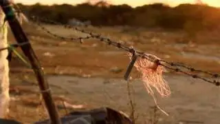 The Invisibles | Part 2 - Six out of ten by Gael Garc&iacute;a Bernal and Marc Silver