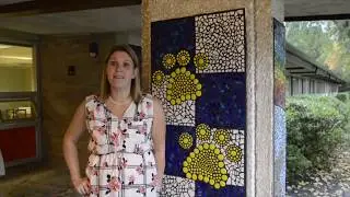 Elvehjem Mural Unveiling