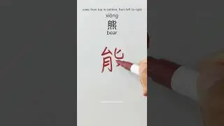 how to write bear 熊 in Chinese  #chinesewriting #hanzitutorial #writechinese #writehanzi #hsk