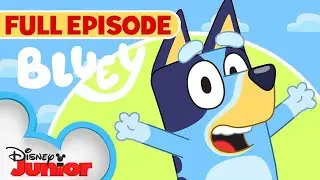 Bluey Full Episodes 🎨 Fun Learning & Nursery Rhymes for Kids