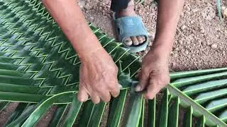 สานทางมะพร้าว| ซุ้มประตูทางเข้างานบวช|ซุ้มทางมะพร้าวทำเองง่ายๆ|คลับสุขภาพดีbyเอรีย์