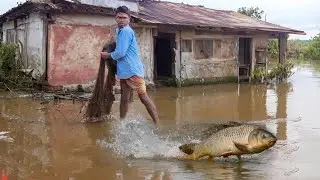😲Best net fishing in flood water | Village  fisherman catching big fish in flood water