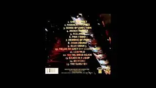 Infected Mushroom - Pink Froid