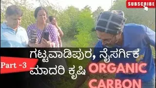 ಗಟ್ಟವಾಡಿಪುರ, ನೈಸರ್ಗಿಕ ಮಾದರಿ ಕೃಷಿ || #organiccarbon #coconutfarming