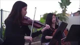 OMG: String Duet Wedding 