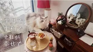 【vlog】朝ごはんから始まる、猫との日常｜ねことのんびり過ごす冬のおうち時間