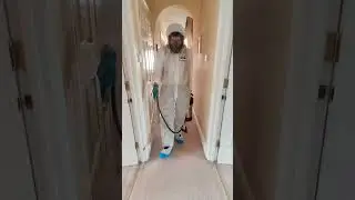 Clothes moths beware! Treatment in progress with Peacocks Pest Control 🎥 by Blue Whippet Media