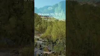 Псалом 30:22-25 современный перевод Библии #shorts