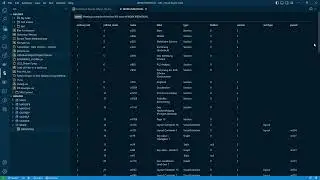 SAS VS Code Extension Overview