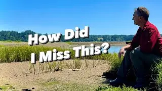 Accidental Adventure | Belfair State Park