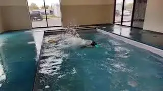 Slow-Mo Splash! 🐶💦 Epic Toy Dive Into the Pool