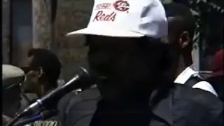 Baby, What's Wrong - Maxwell Street Blues Band (1983)