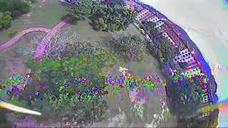 Micro 130 fly egg acro