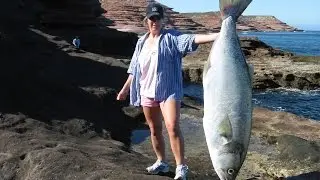 Giant Tailor caught at Kalbarri. One for the ladies.