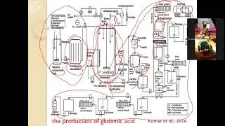 Downstream Processing-Introduction bioproduct