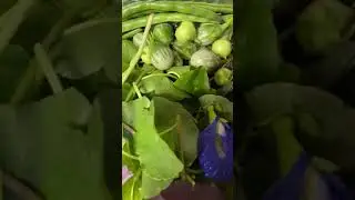 # 26 My Vegetable Tray for Pun Pa (fish wrap)
