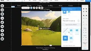 Resizing Wix Galleries Timing