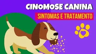 CINOMOSE CANINA SINTOMAS | CINOMOSE CANINA TEM CURA ? | Feito C&atilde;o e Gato