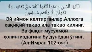 Абу Салох--- Фаластиндиги бӯлган воқеалардан бири...