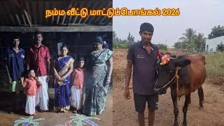 ஜனவரி 18 2026 நம்ம வீட்டு மாட்டுப்பொங்கல் 2026