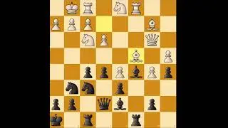beat english with dynamic'(reserve grandprix ')