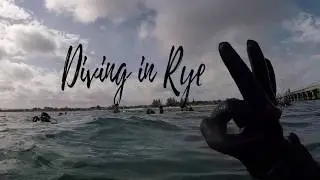 Diving in Melbourne (Rye Pier) with Academy of Scuba