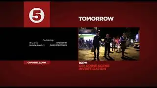 Channel 5 2011 Rebrand Packaging (Promos, ECPs, Break Bumpers)