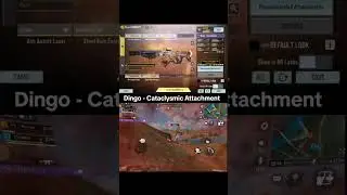 Dingo - Cataclysmic Attachment