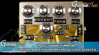 Dumbloid Special Boost Overdrive Pedal  Gold Scratch
