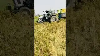 Eicher 485 vs eucher 380 and combine in field #shortsfeed #farming #trending #viral #viralvideo #yt