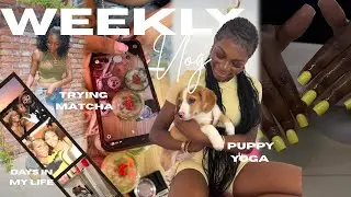 WEEKLY VLOG | WHERE I BEEN !?! Summer Files, Puppy Yoga, Job Hunt, College files, Matcha Date, etc!