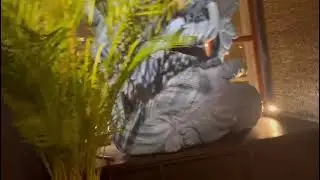 Black Thai restaurant 👍🏼частичка Тайланда в Москве ☺️