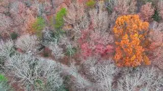 Unrestricted Land For Sale in Blue Ridge, GA